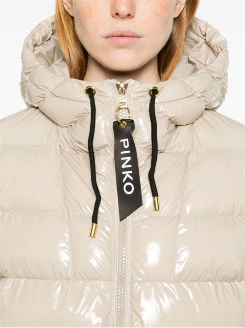 Shiny women's down jacket Pinko | 101597-A11K.D05